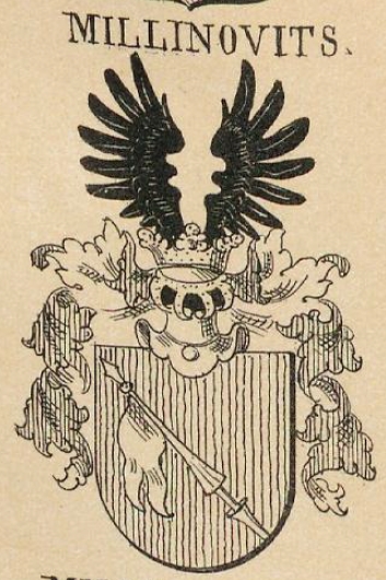 Millinovits Coat of Arms / Family Crest 0