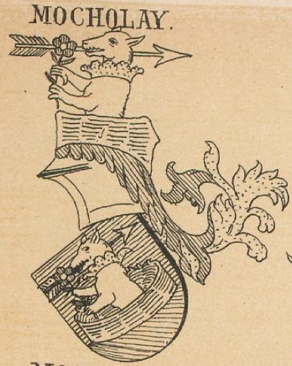 Mocholay Coat of Arms / Family Crest 0