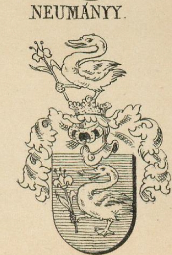 Neumanyy Coat of Arms / Family Crest 0