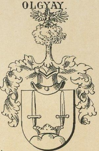 Olgyay Coat of Arms / Family Crest 0