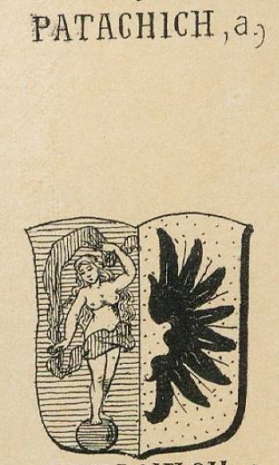 Patachich Coat of Arms / Family Crest 1