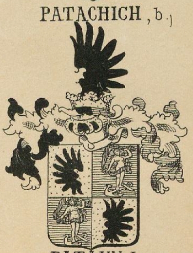 Patachich Coat of Arms / Family Crest 2