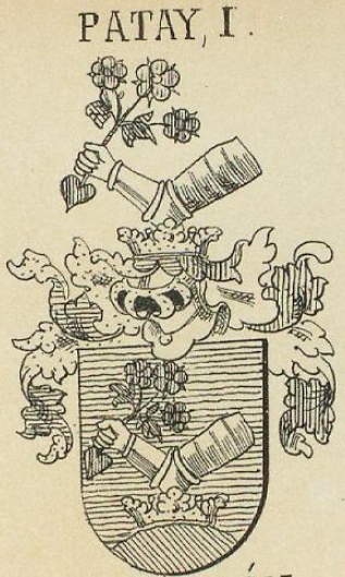 Patay Coat of Arms / Family Crest 0