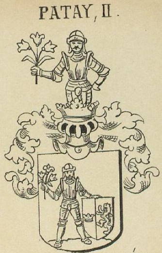 Patay Coat of Arms / Family Crest 1
