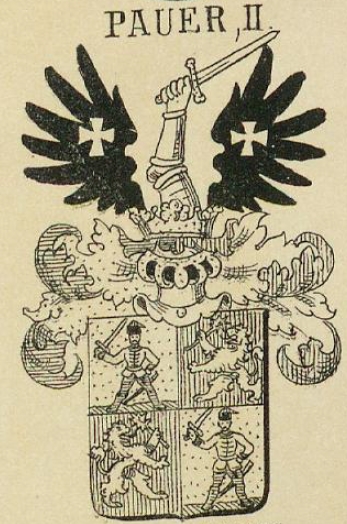 Pauer Coat of Arms / Family Crest 3