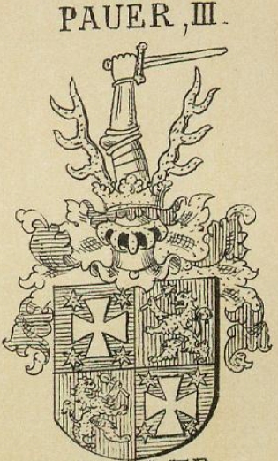 Pauer Coat of Arms / Family Crest 4