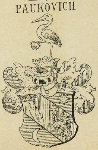 Paukovich Coat of Arms / Family Crest 0