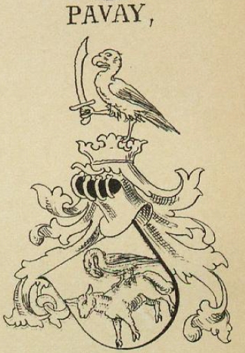 Pavay Coat of Arms / Family Crest 0