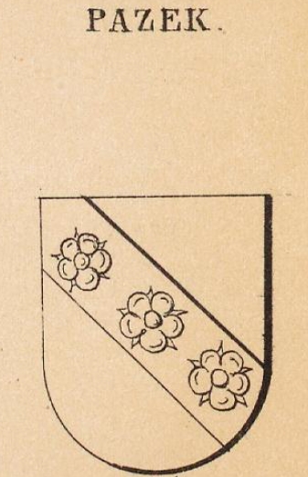 Pazek Coat of Arms / Family Crest 0