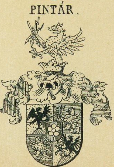 Pintar Coat of Arms / Family Crest 0