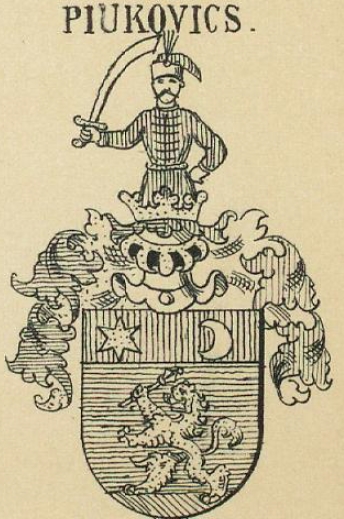 Piukovics Coat of Arms / Family Crest 0