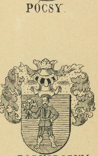 Pocsy Coat of Arms / Family Crest 0