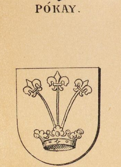 Pokay Coat of Arms / Family Crest 0