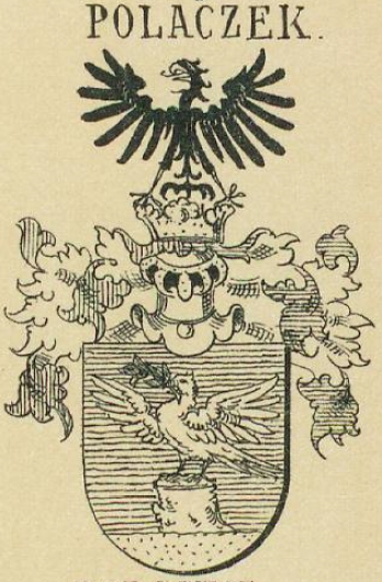 Polaczek Coat of Arms / Family Crest 0
