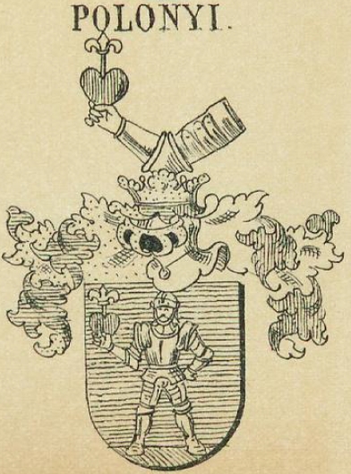 Polonyi Coat of Arms / Family Crest 0