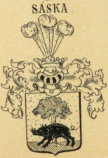 Saska Coat of Arms / Family Crest 0