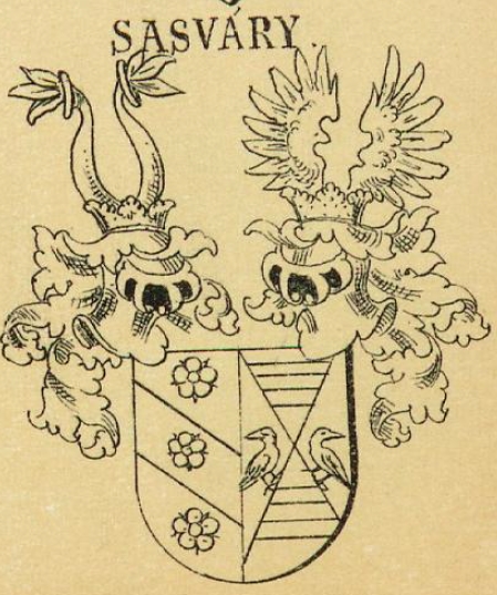 Sasvary Coat of Arms / Family Crest 0