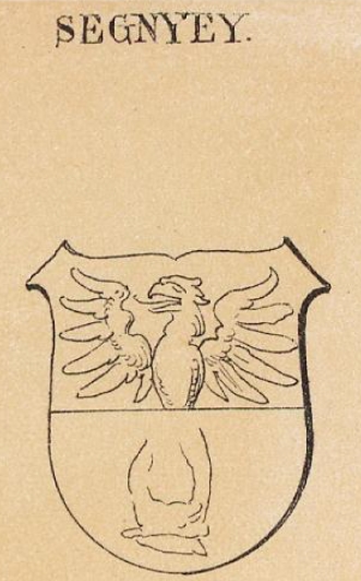 Segnyey Coat of Arms / Family Crest 0