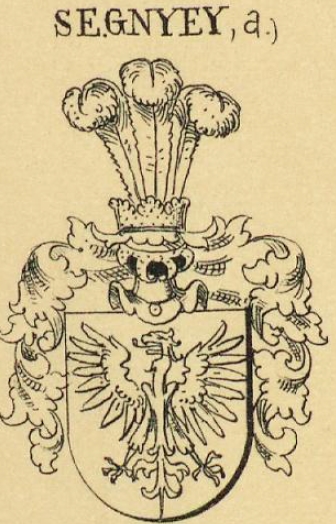 Segnyey Coat of Arms / Family Crest 1