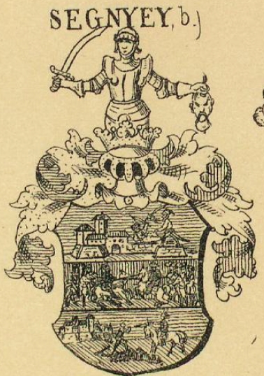 Segnyey Coat of Arms / Family Crest 2