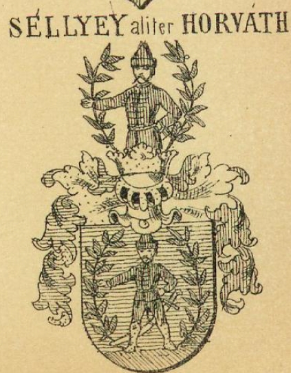 Sellyey Coat of Arms / Family Crest 0