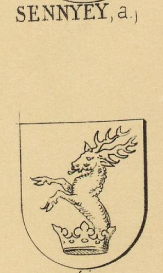 Sennyey Coat of Arms / Family Crest 0