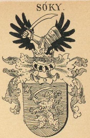 Soky Coat of Arms / Family Crest 0