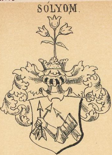 Solyom Coat of Arms / Family Crest 0