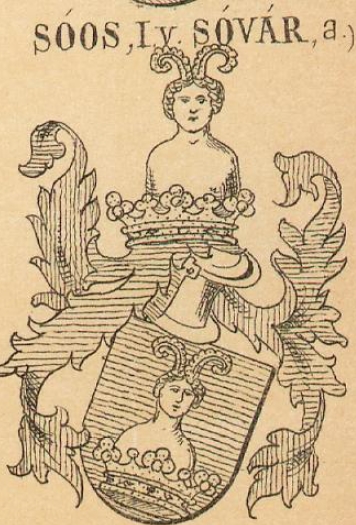 Soos Coat of Arms / Family Crest 8