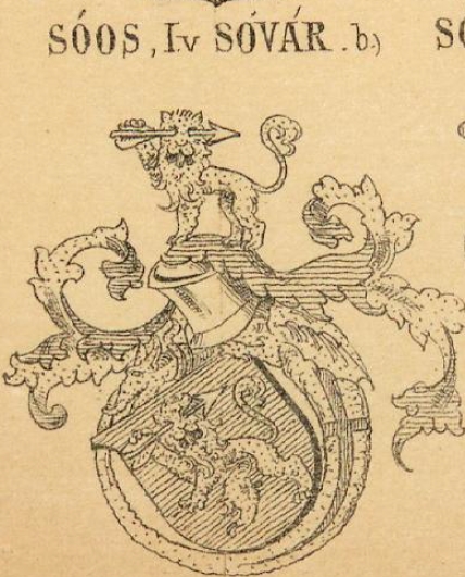 Soos Coat of Arms / Family Crest 9