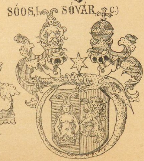 Soos Coat of Arms / Family Crest 10