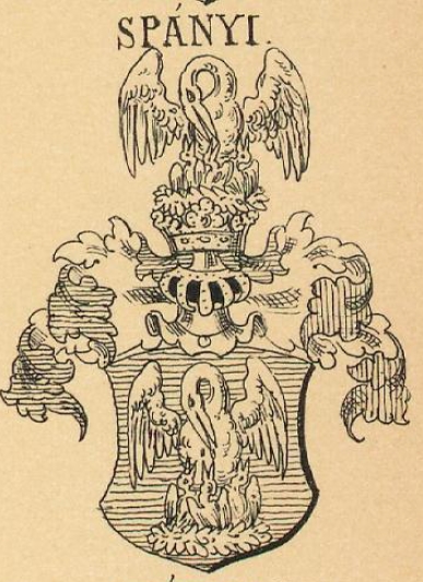 Spanyi Coat of Arms / Family Crest 0