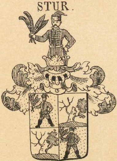 Stur Coat of Arms / Family Crest 0