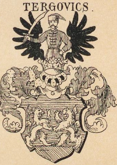 Tergovics Coat of Arms / Family Crest 0