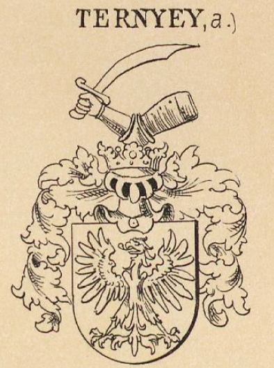 Ternyey Coat of Arms / Family Crest 1