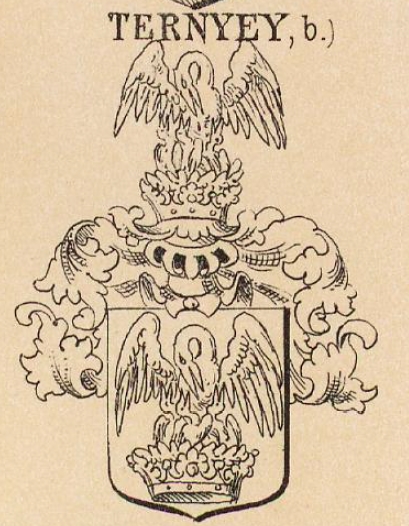 Ternyey Coat of Arms / Family Crest 2