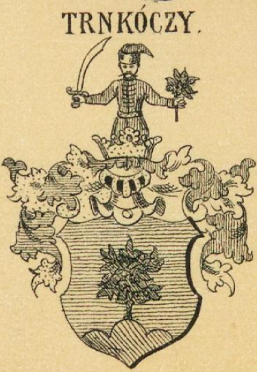 Trnkoczy Coat of Arms / Family Crest 0