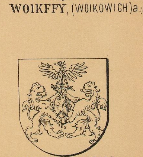 Woikffy Coat of Arms / Family Crest 0