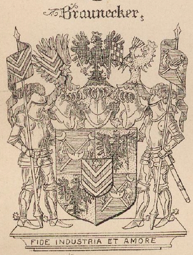 braunecker Coat of Arms / Family Crest 3