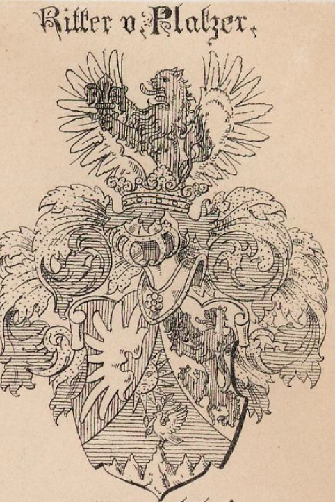 platzer Coat of Arms / Family Crest 1