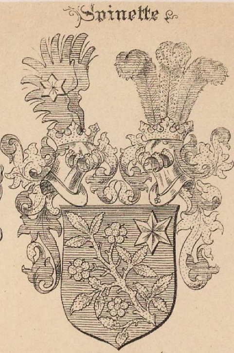 spinette Coat of Arms / Family Crest 1