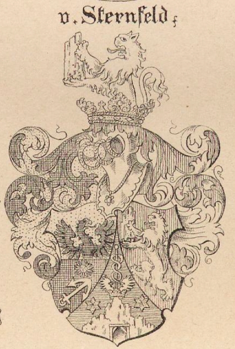 sternfeld Coat of Arms / Family Crest 1