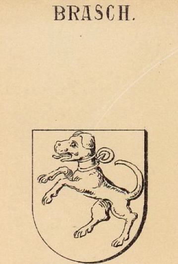 Brasch Coat of Arms / Family Crest 0