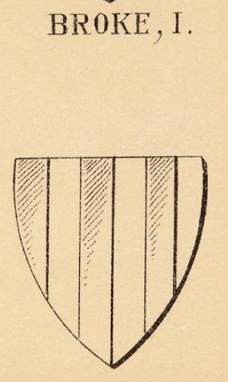 Broke Coat of Arms / Family Crest 0