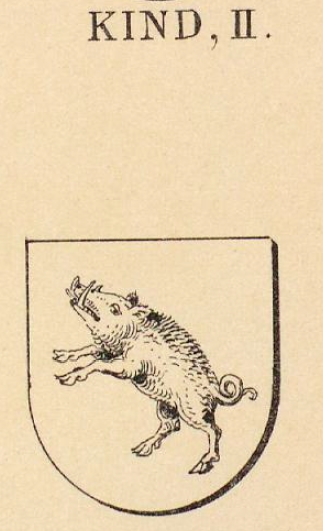 Kind Coat of Arms / Family Crest 1