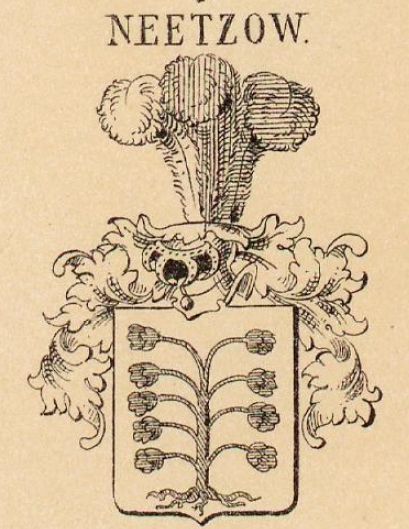 Neetzow Coat of Arms / Family Crest 0