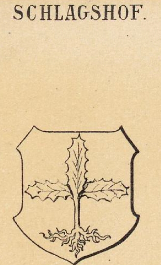 Schlagshof Coat of Arms / Family Crest 0