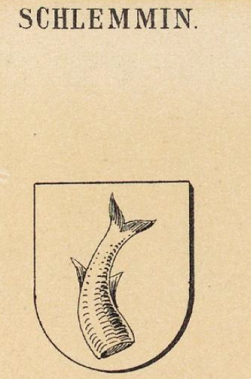 Schlemmin Coat of Arms / Family Crest 0