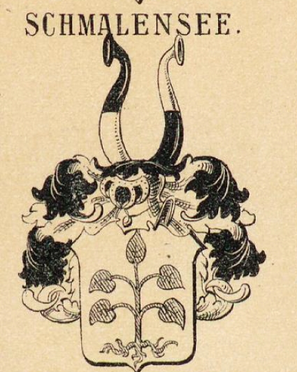 Schmalensee Coat of Arms / Family Crest 1