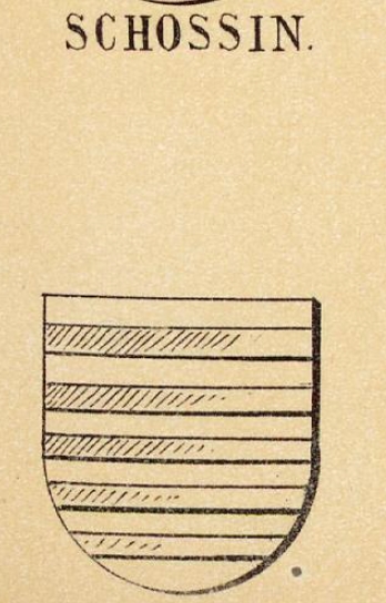 Schossin Coat of Arms / Family Crest 0